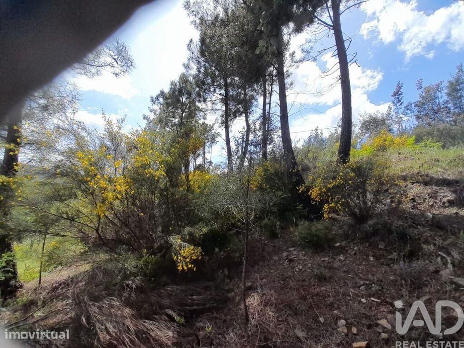 Terreno em Cortes do Meio
