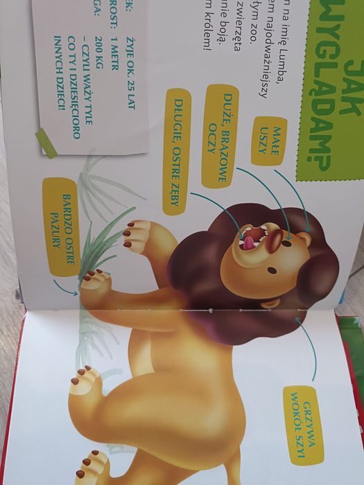 Książki z serii zwierzęta z mojego zoo plus zwierzątka