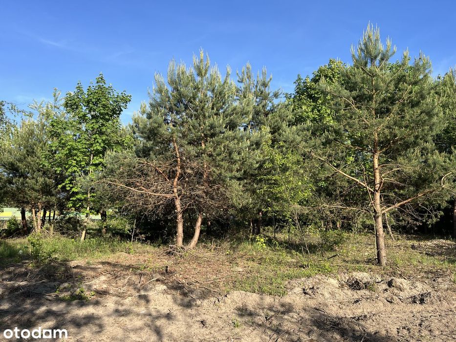 Działka budowlana 808 m² – Borowa Góra, gm. Serock - Widok 2
