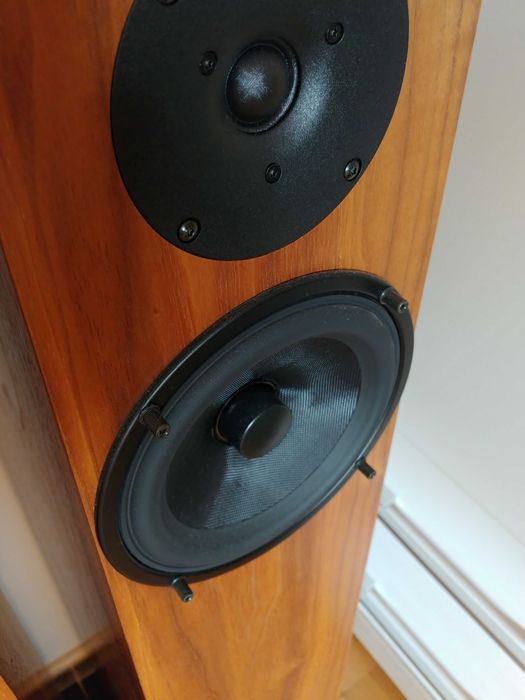 Kolumny podłogowe Audio Physic Classic 5 z certyfikatem kontroli jakości. Parowane.