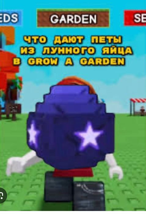 Night egg Grove Garden