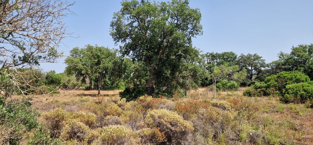 Terreno com água e luz com 8ha