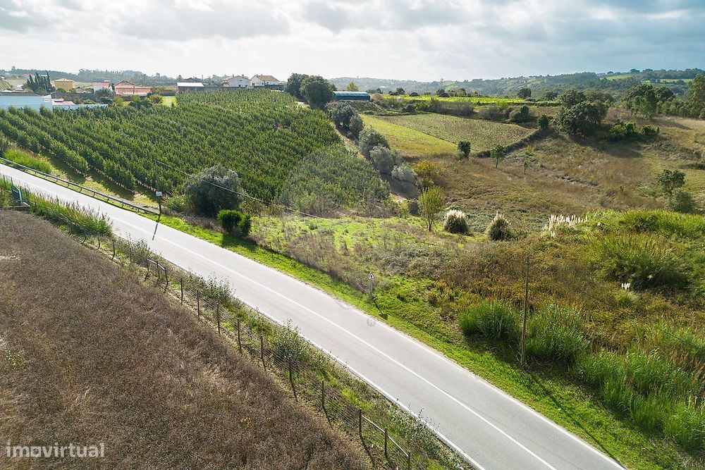 Terreno  para venda — Alcobaça E Vestiaria, Leiria
