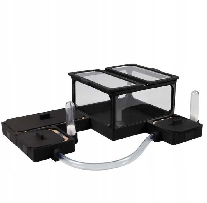 Modułowe Korkowe TERRARIUM DLA MRÓWEK 280x210 Formikarium - WYPRZEDAŻ