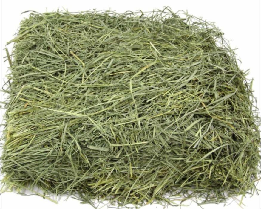 5kg//…Sianko dla królików i grygzoni