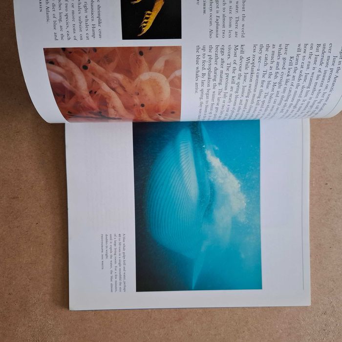 "Seasons of the Whale" de Erich Hoyt
