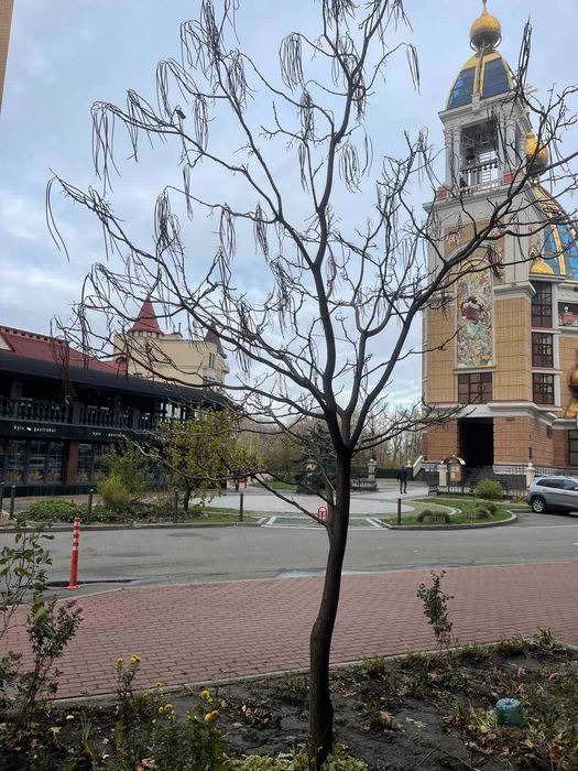 Оренда 1но кімнатної Оболонська набережна 3