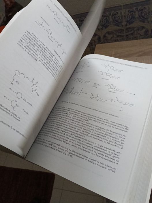 “Livro Introducción a la Química Farmacéutica – C. Avendaño – 2ª ed