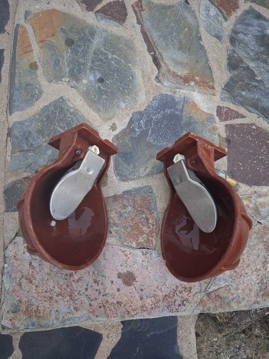 Bebedouro automático