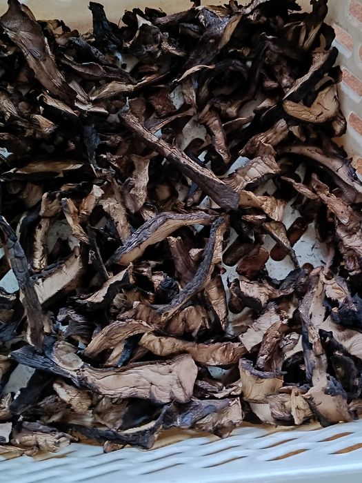 Nowosc Grzyby Suszone  SARNIAKI Polska Trufla