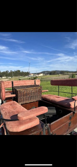 Vendo ou troco charrete classica