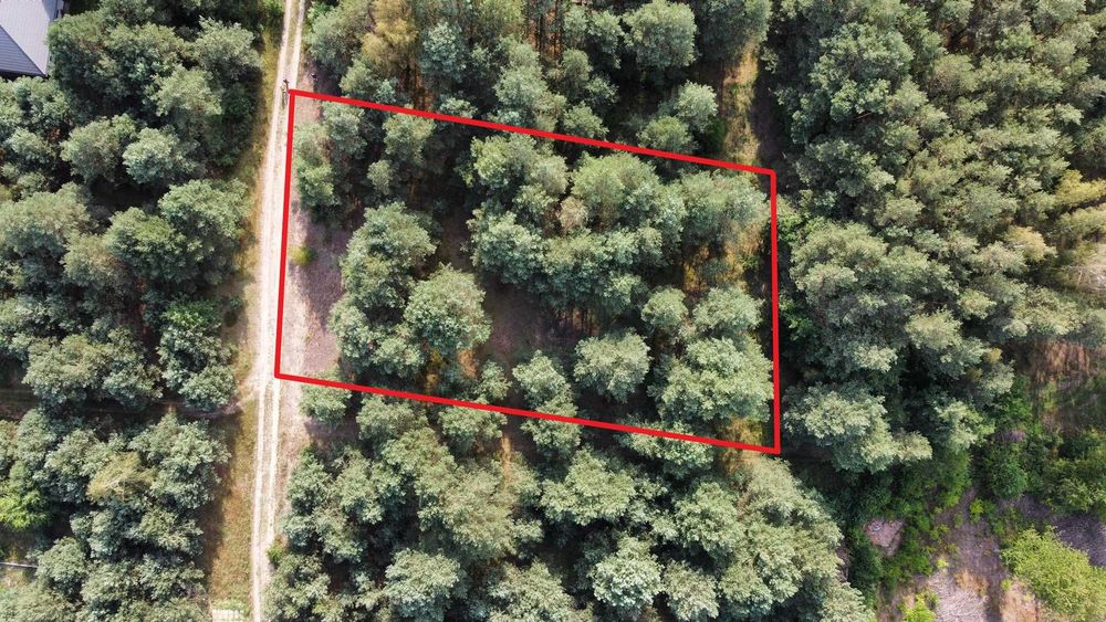 Działka budowlana 1442 m² na skraju lasu – Władysławów (97-225) - Widok 3