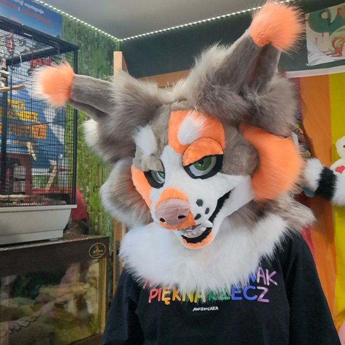 Furry fursuit kot