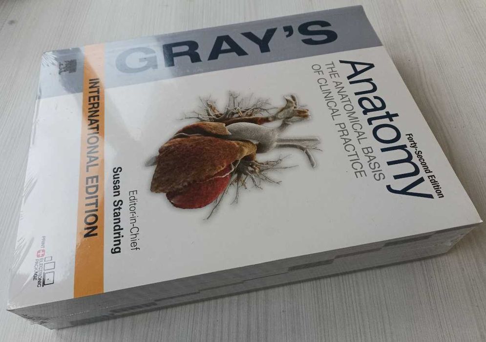 Анатомия человека Gray's anatomy 42 ed. Анатомия Грей 42е издание