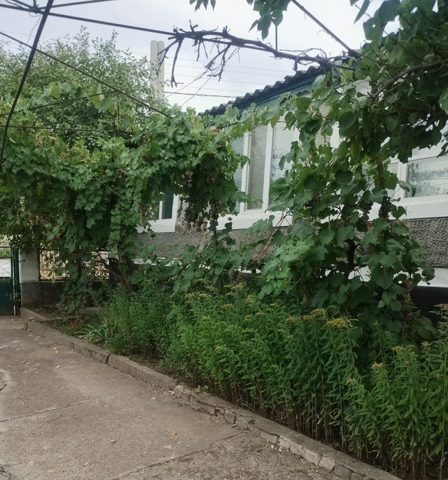 Продається будинок с.Прибужани