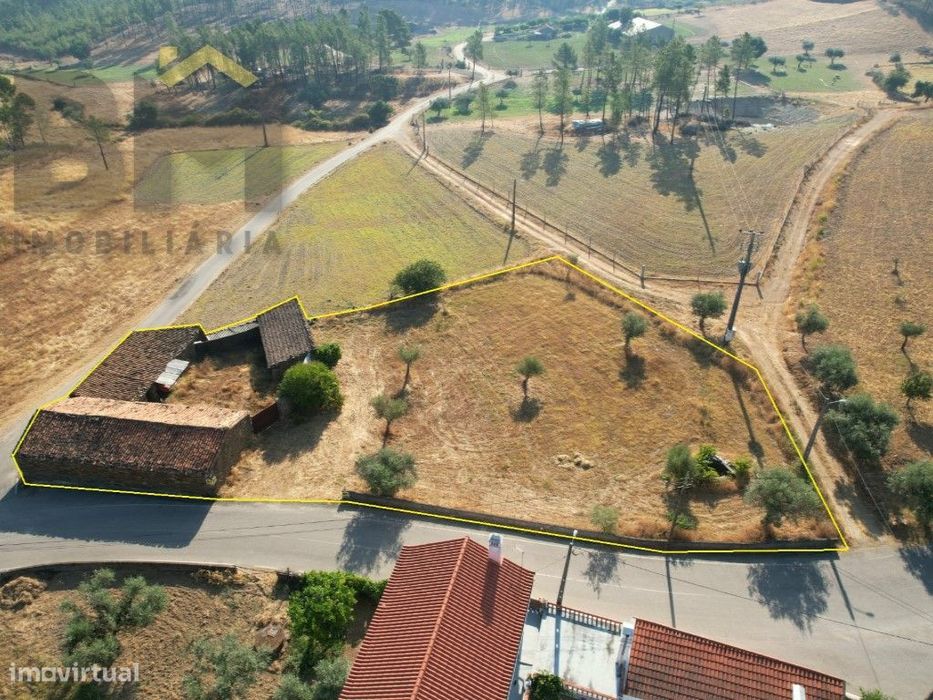 Quinta com Muito Potencial - Sarzedas, Castelo Branco