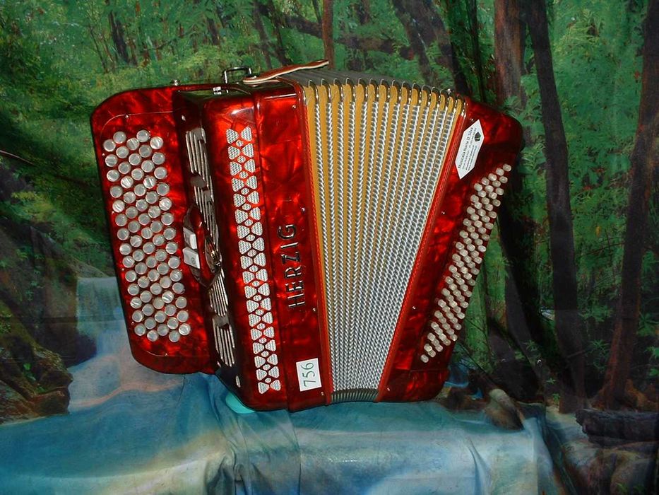 Promoção de Acordeões de concertinas