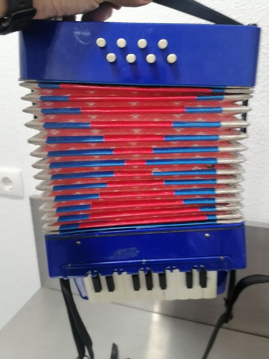 Small Accordion64750729570434122