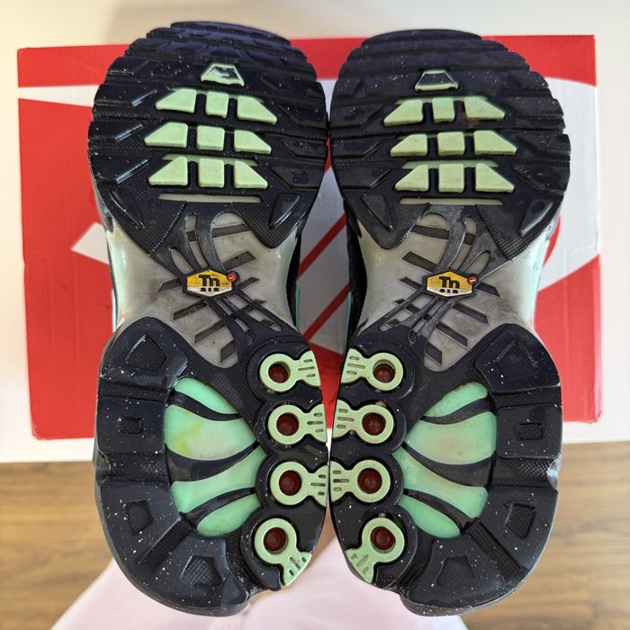 Кроссовки мужские Nike Air Max Plus Grey FB3351-001