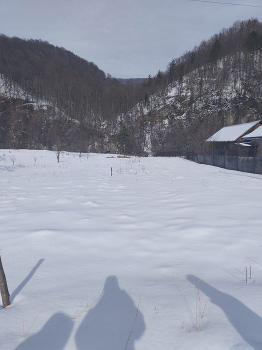 Земельна ділянка з виходом до річки! 8 сот. с. Шешори Без комісії!