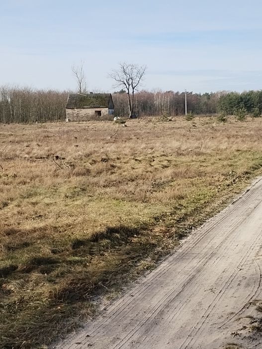 Ziemia rolna Małomin