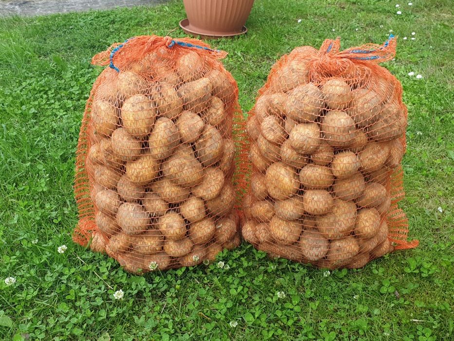 Ziemniaki Vineta