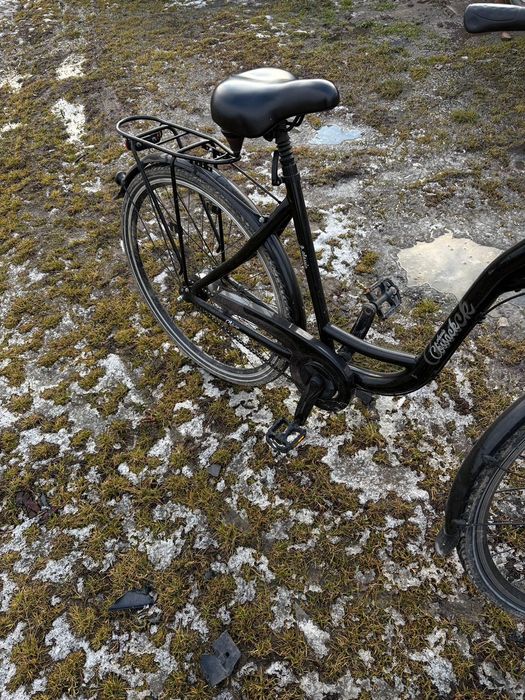 Rower damski COSSACK