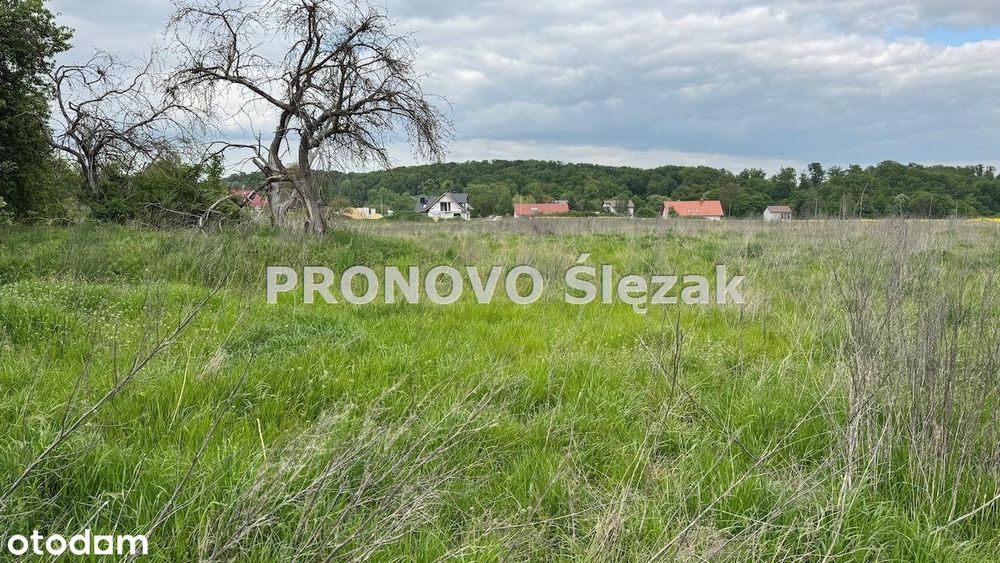 Sprzedam działkę z potencjałem