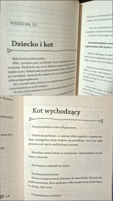 Wszystko o kotach 3 książki