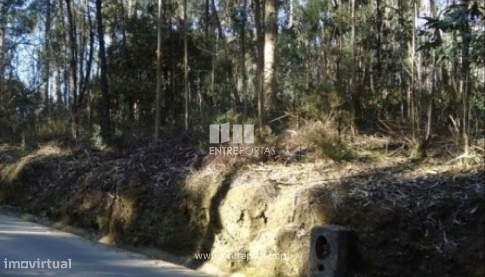Land for Sale, Laúndos, Póvoa de Varzim