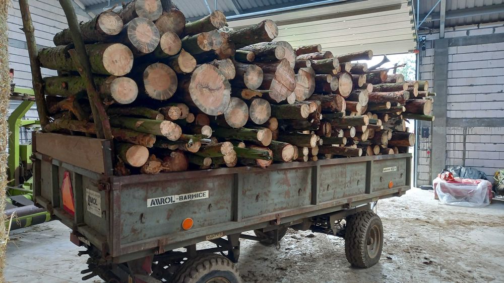 Drewno opałowe głównie sosna