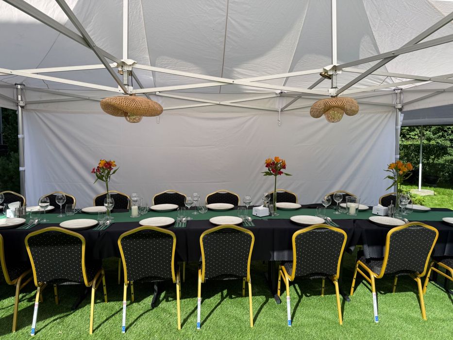 krzesło do wynajęcia, krzesło na imprezy,  event