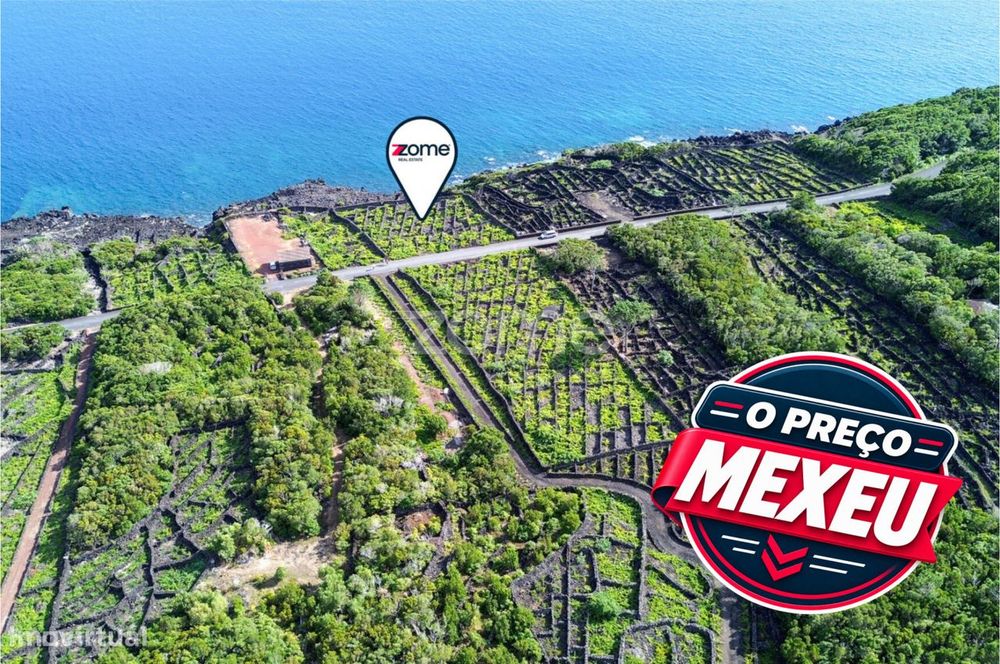 Terreno de vinhas com 1.467 m2, em São Caetano na Ilha do Pico