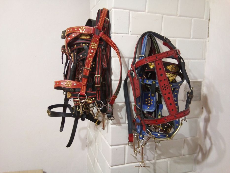 Вуздечка шкіряна,з шорками і без шорок, ручна робота
