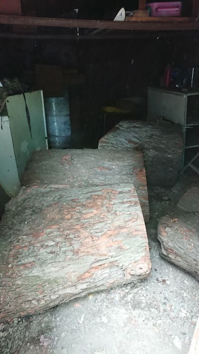 Дерево на дрова, клен.