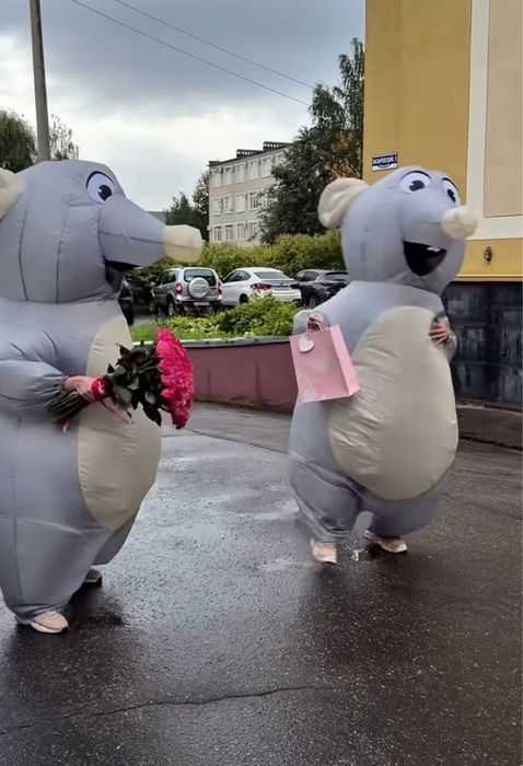 Костюм Миша сіра, надувний