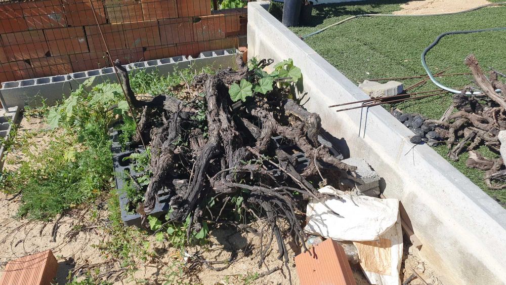 Troncos para Aquários