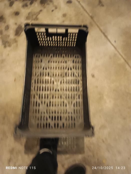 Vendo caixas da fruta são tara recuperável