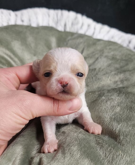 Drobniutki śliczny chłopczyk