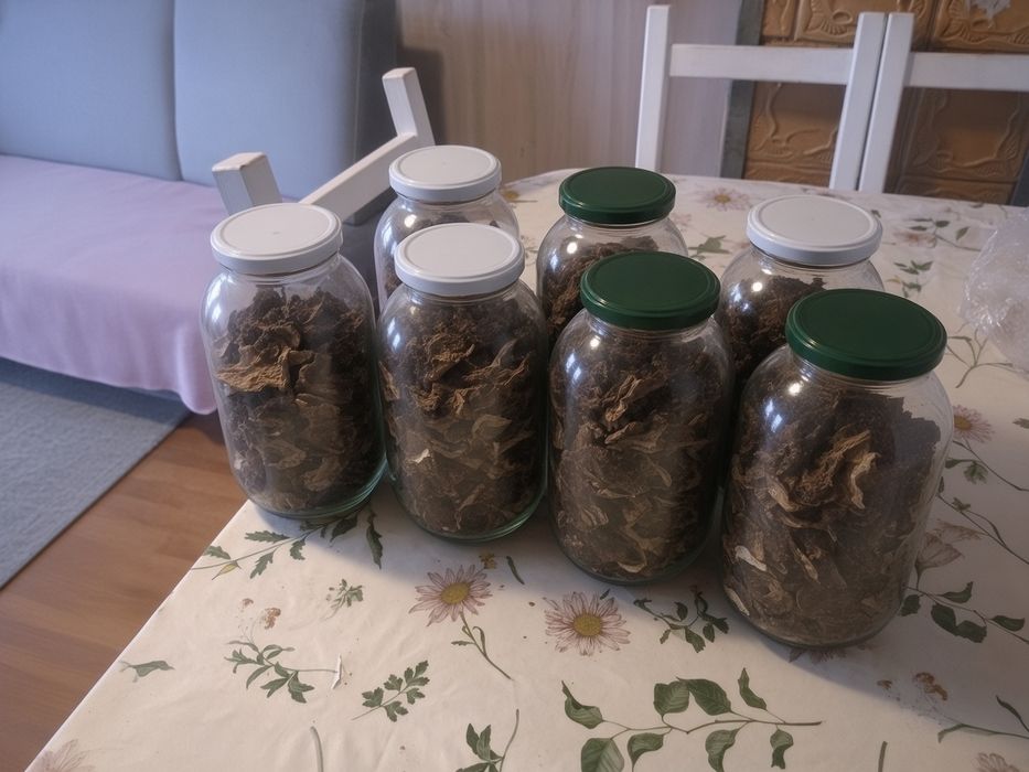 Suszone grzyby 70 zł (800g)