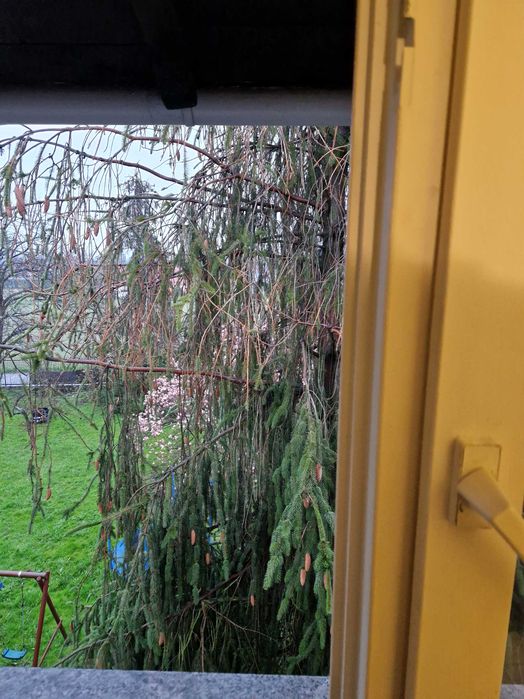 Mieszkanie 3 pokojowe