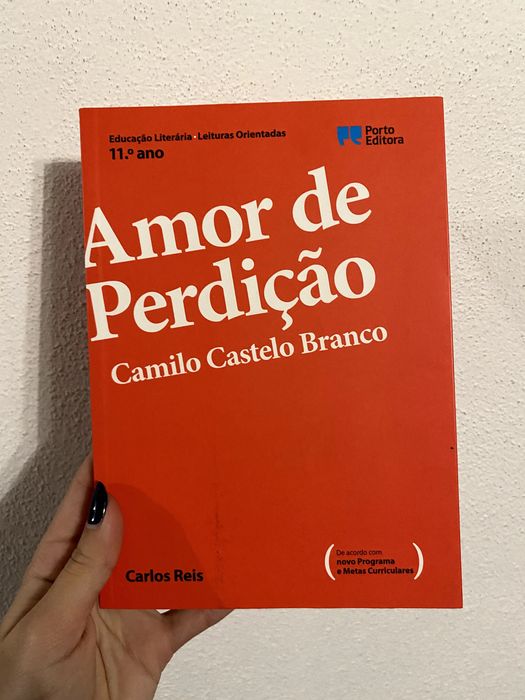 Study Aid Book for the Work "Amor de Perdição"
