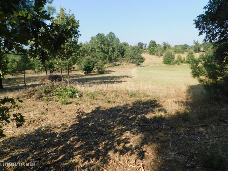 Terreno Rústico / Fundão, Capinha