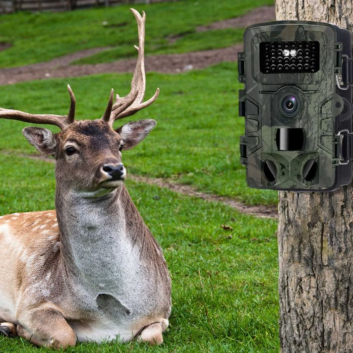 fotopułapka kamera myśliwska leśna full hd ir czujnik ruchu wodoodporn