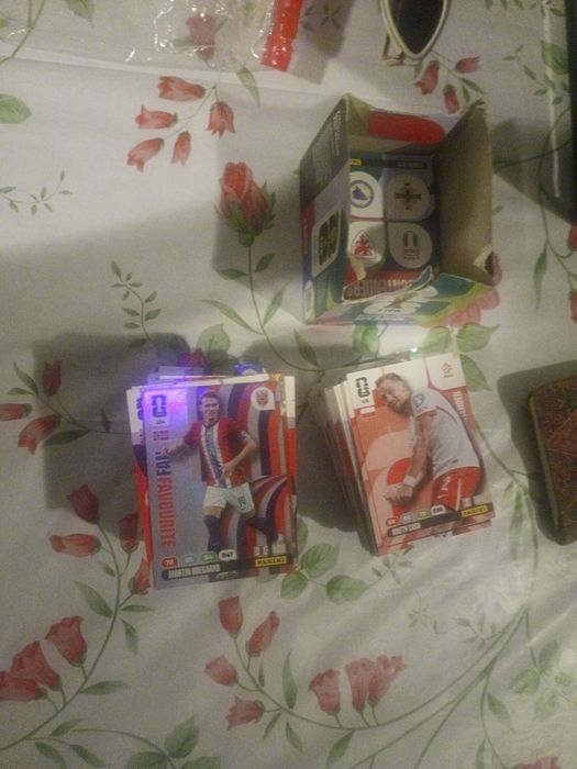 Cromos mundial Panini