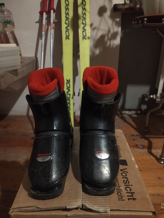 Гірські лижі дитячі (комплект)