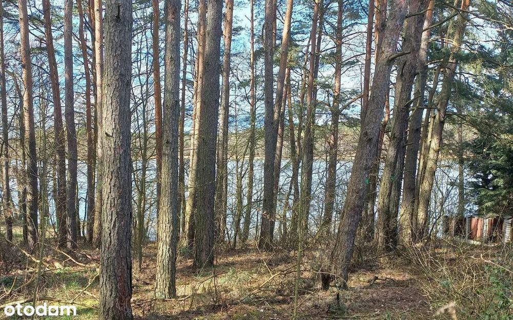 Dom letniskowy w lesie nad jeziorem - Biała