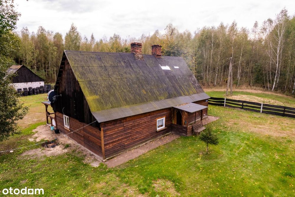 Siedlisko w m. Boruja Nowa