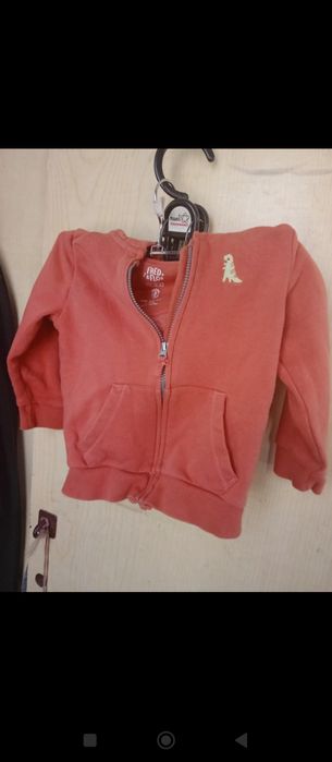 Bluza z dinozaurem 12-18 miesiecy