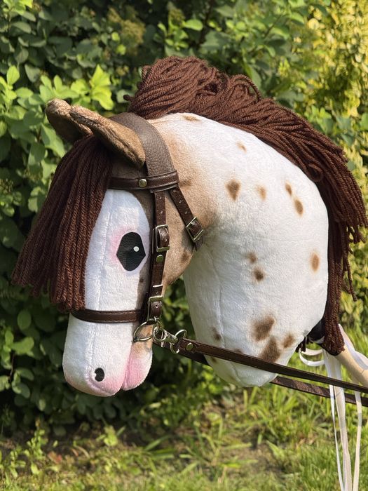 Hobby horse dereszowaty z oglowiem